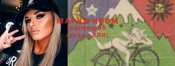 молекула духа Елабуга