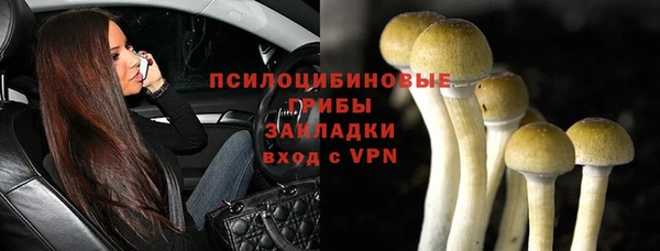 каннабис Ельня