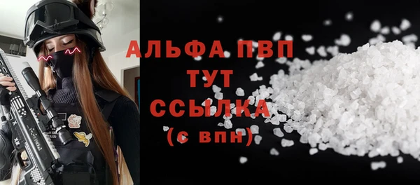 молекула духа Елабуга