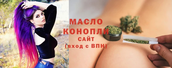 молекула духа Елабуга