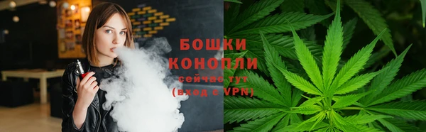 молекула духа Елабуга