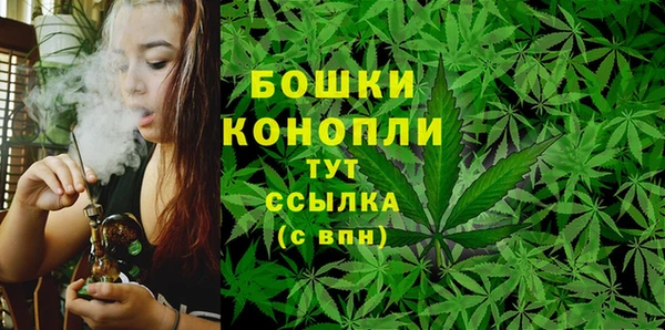 молекула духа Елабуга